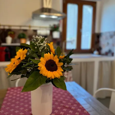 Borgo Di Sopra 51 Διαμέρισμα